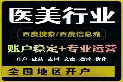 百度推广中的创意策略：成功案例解析与启示